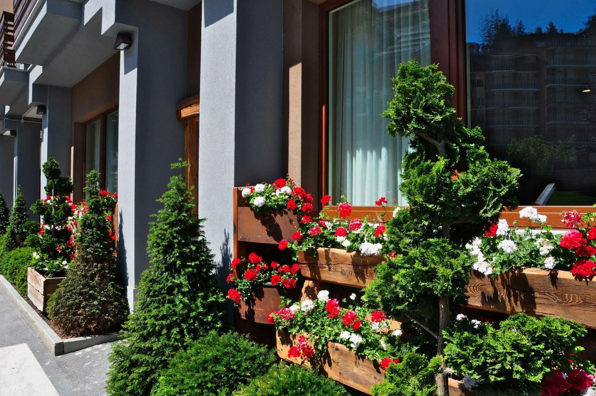 Serendipity Hotel